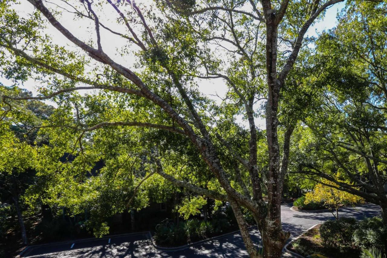 Relax, Renew, Retreat Villa Kiawah Island Exterior photo